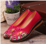 Vibrant Casual Shoes with Embroidered Insole S-60