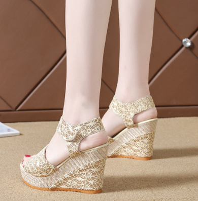 Elegant Lace Espadrille Wedges with Comfort Fit Design S-15